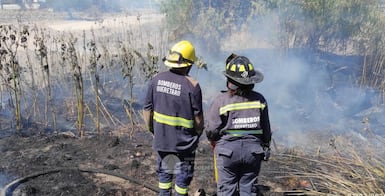 Suma Querétaro 534 incendios en 2026; 12 han sido forestales