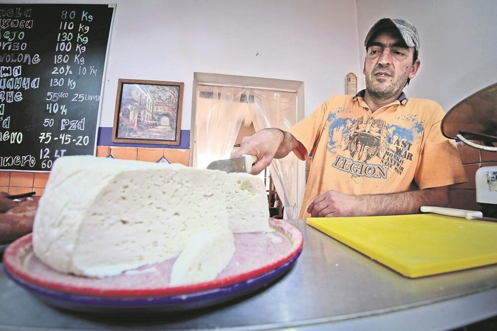 Cada día procesan 600 litros de leche para elaborar los quesos. José Raúl afirma que desde hace mucho tiempo ha disminuido la venta de leche pura, pues muchas personas desconocen las bondades del producto. (FOTO: VÍCTOR PICHARDO)