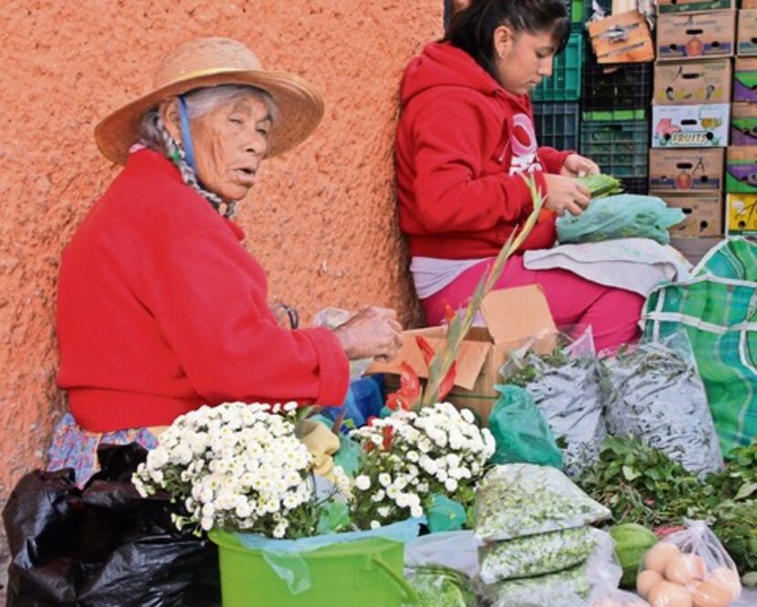 Se pierde idioma otomí en el estado
