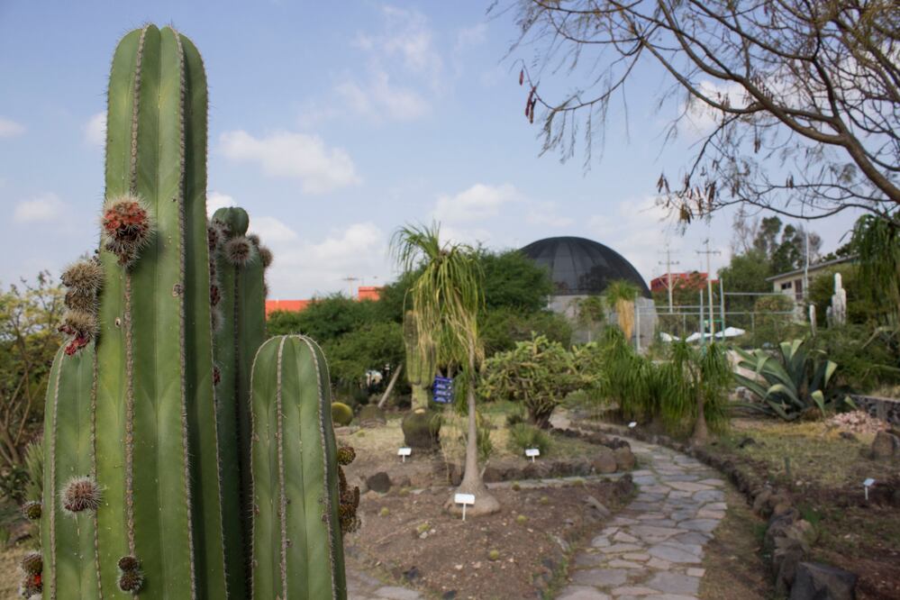 Se ofrece servicio de visitas guiadas a escuelas de los distintos niveles escolares y público en general FOTO: ESPECIAL