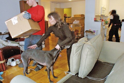 Guía para lograr tu primer alquiler