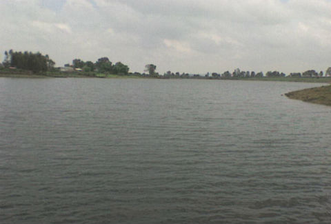 Descubren restos de cuerpo