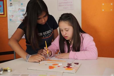 Crean programa sobre inclusión educativa