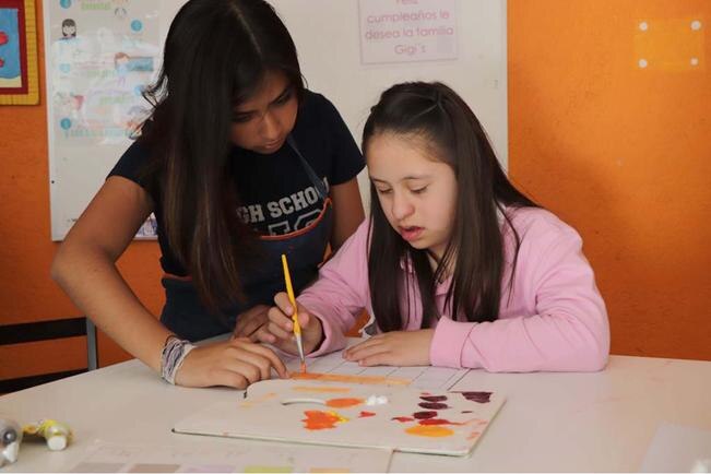 Crean programa sobre inclusión educativa
