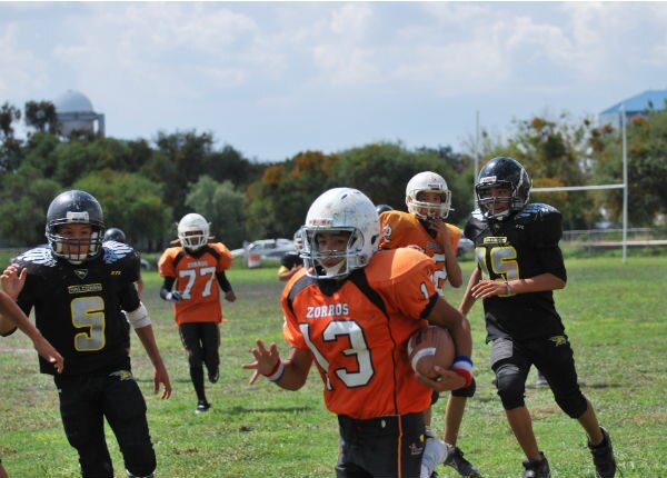 Ganan Zorros campeonato y subcampeonato