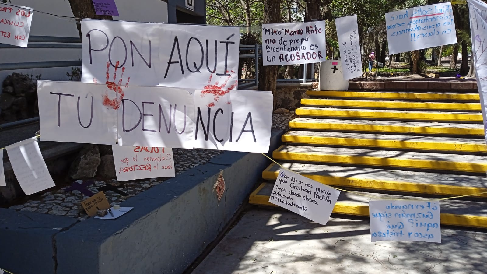 Opinión. Cambio desde raíz