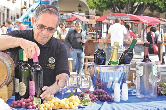 Impulsan industria vinícola