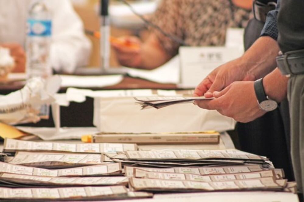 INE: no hubo registro de independientes