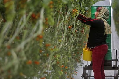 El Bajío es referente nacional de empleo: FDS