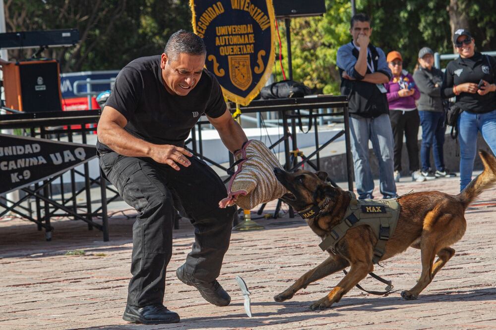 Fotos: Demian Chávez