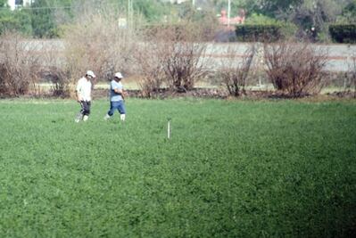  Sedea promueve empleo en zonas  pobres