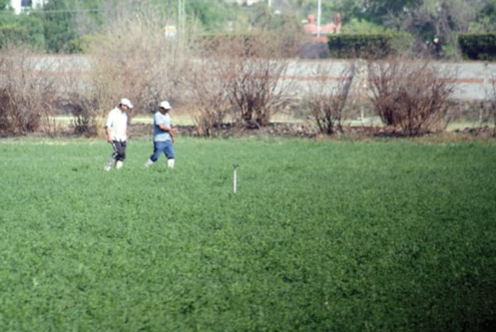  Sedea promueve empleo en zonas  pobres