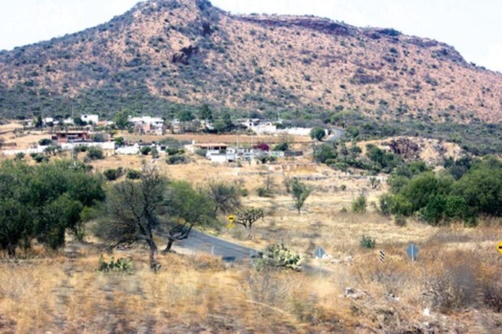 Niegan convenios con reguladores