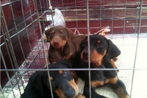 Ve Mars afectación por reforma fiscal