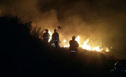 Consumen incendios 833 hectáreas en Guanajuato