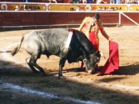 Se prepara el ‘Zotoluco’ en España