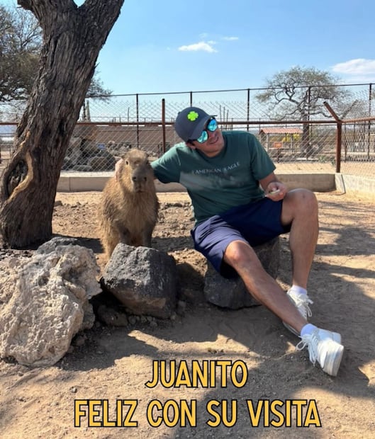 Juanito, el capibara de Santuaai. Foto: FB@Santuaai