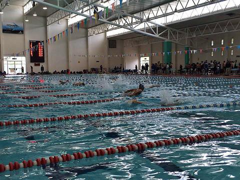 Mil 500 nadadores en Nacional Curso Corto