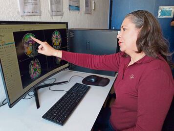 Los mensajeros vitales del cerebro