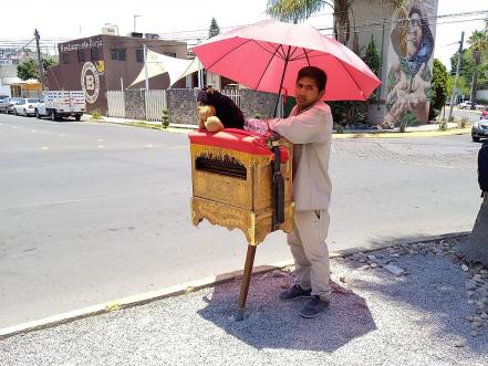 Organilleros se resisten a tocar una última canción en Querétaro