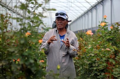 Contra Goliat. Floricultor, en batalla con Pemex