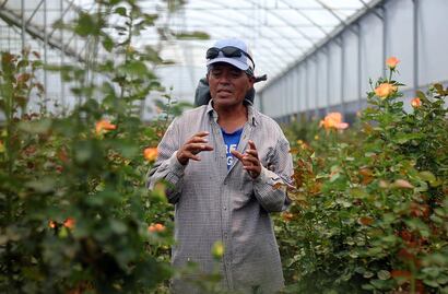 Contra Goliat. Floricultor, en batalla con Pemex