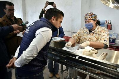 Corregidora fomenta cuidado de mascotas