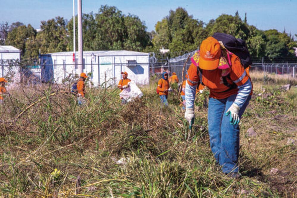 Lanzan campaña de rescate de lotes baldíos en la capital