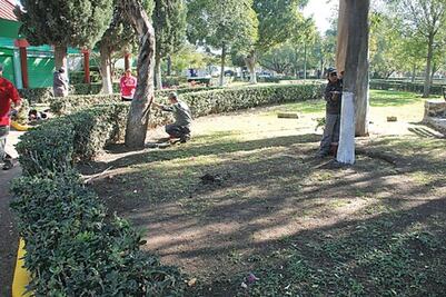 "Fuerza Ciudadana" retoma actividades