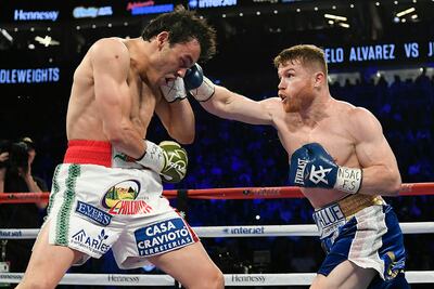 El "Canelo" agarró pichón