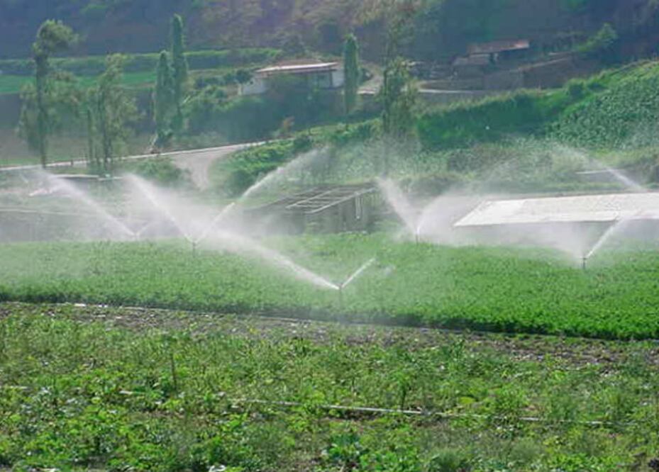 Se tecnifica campo queretano
