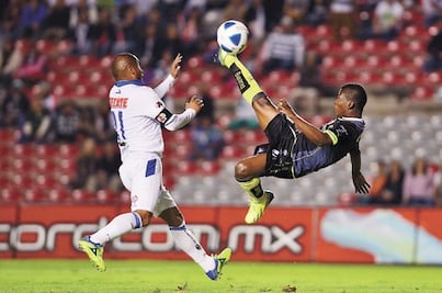 Una tranquilidad emplumada 