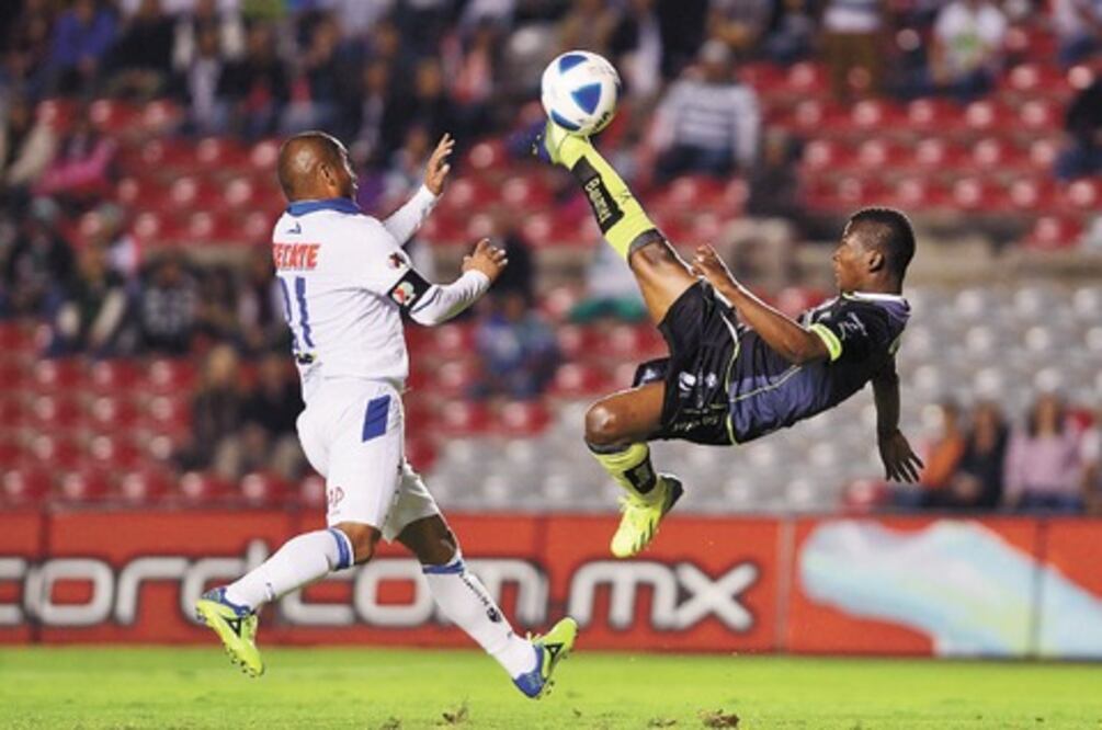 Una tranquilidad emplumada