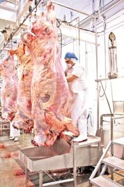 Buscan ampliar rastro de capital