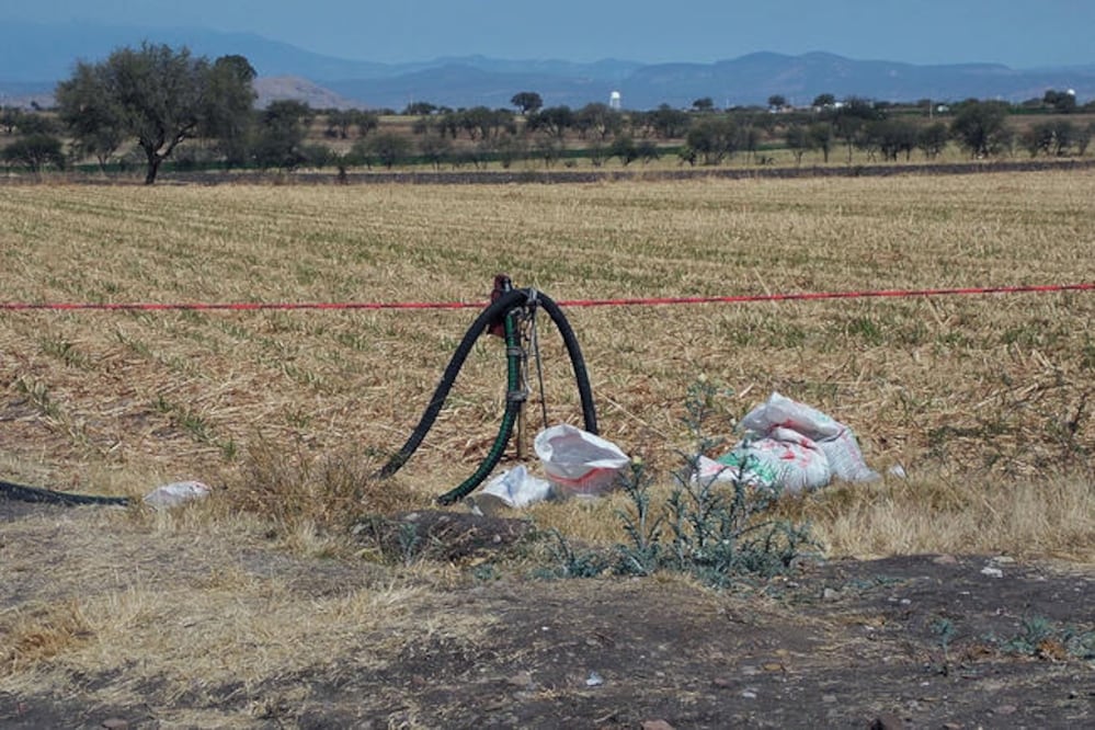 Foto: Archivo El Universal