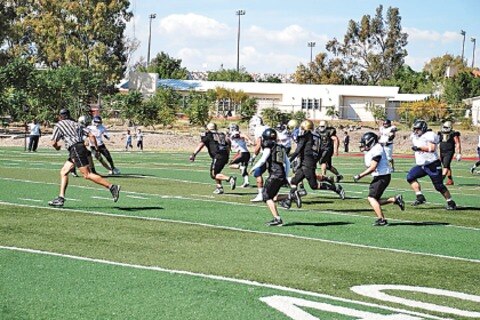 Gatos veteranos preparan temporada