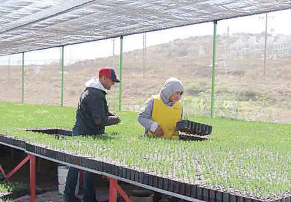 Capacita Conafor en manejo de plagas