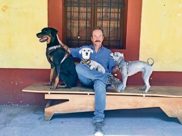 Un concierto para perros en el Museo de la Ciudad