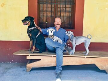 Un concierto para perros en el Museo de la Ciudad