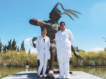 Investigan si los perros pueden contagiar a los humanos