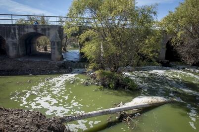 En el olvido la presa El Centenario, manto acuífero de bacterias