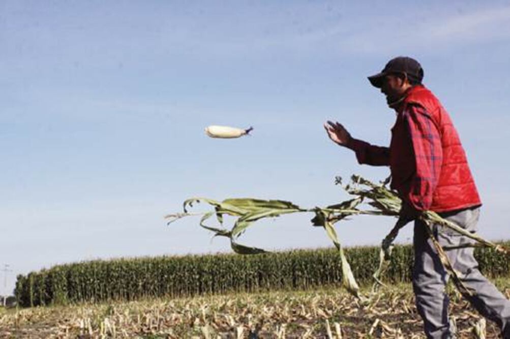 En pobreza, 30 mil labriegos, denuncian