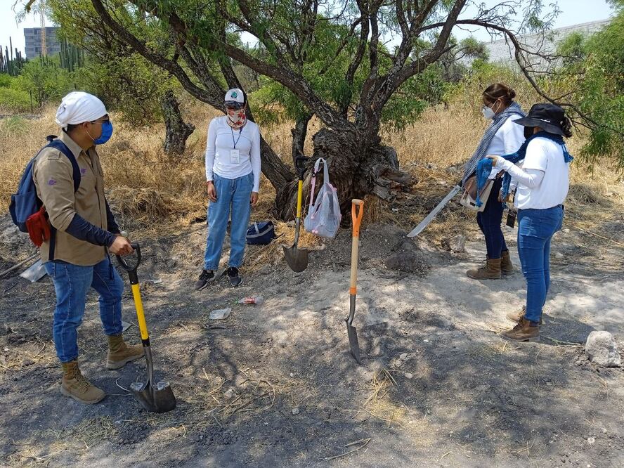 Fotos: Domingo Valdez