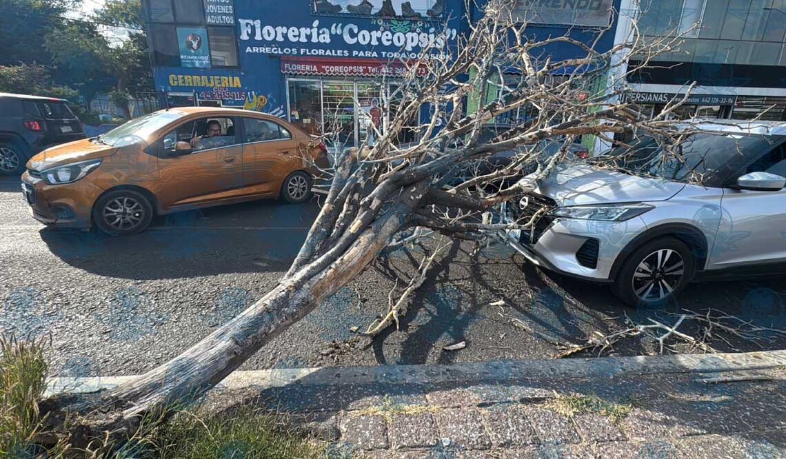 Foto: Ángel González