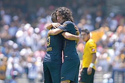 Felinos quieren 'fiesta'