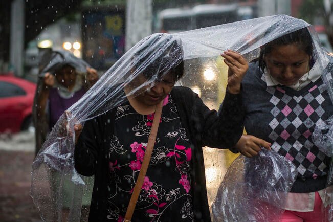 Inundaciones y caída de un árbol, daños por las lluvias
