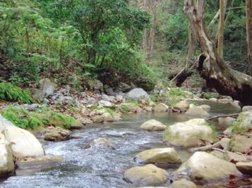 Semana de la Tierra en Querétaro