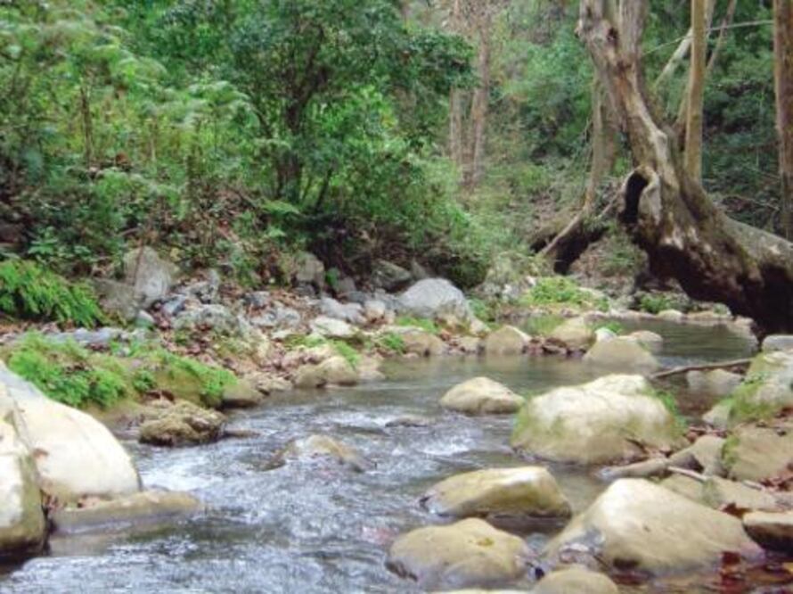 Semana de la Tierra en Querétaro