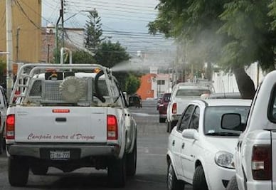 Registrados tres casos de dengue en el estado 