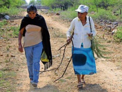 Atienden a 90 mil mujeres